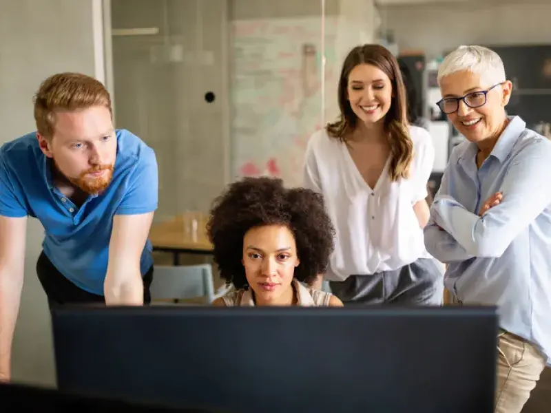 Professional Web Application Development process