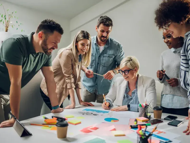 Website Design Services in The Basin, VIC - WebsitedesignDandenong.com.au