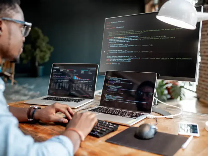 Website Design Services in Sandringham, VIC - WebsitedesignDandenong.com.au