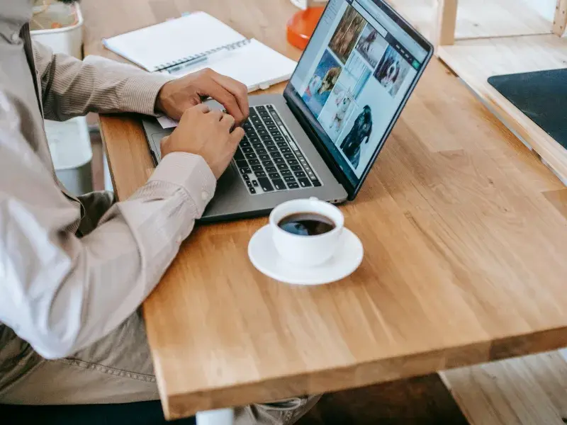 Website Design Services in Mordialloc, VIC - WebsitedesignDandenong.com.au